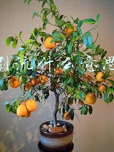 引流什么意思