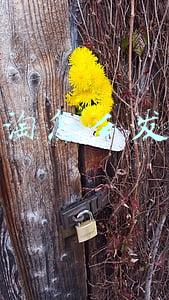 微淘怎么发布 微淘怎么发布