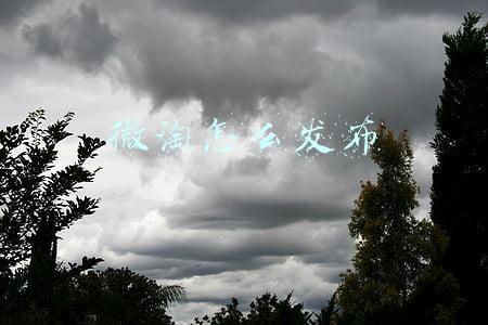 微淘怎么发布上新的商品(淘宝微淘上新要求及标题优化技巧)
