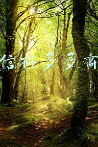 微信商城小程序(当心！“躺赚”的微信购物小程序存陷阱)