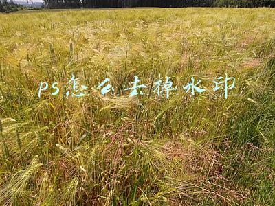 ps怎么去掉水印