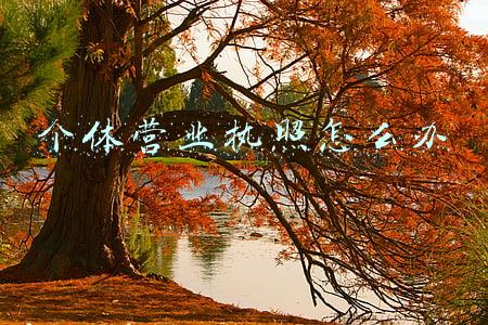 个体营业执照怎么办 个体营业执照怎么办