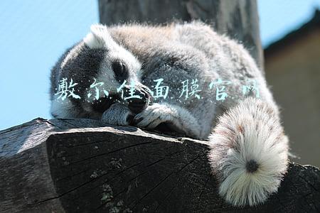 敷尔佳面膜官网
