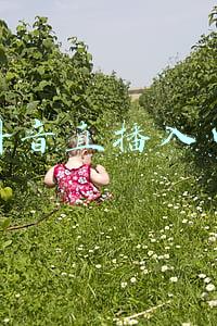 抖音直播入口