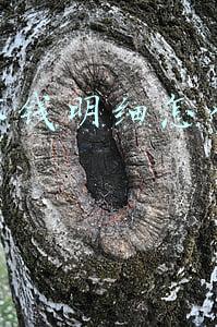 微信零钱明细怎么全部删除