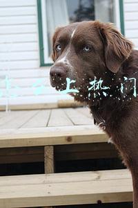 抖音怎么上热门方法