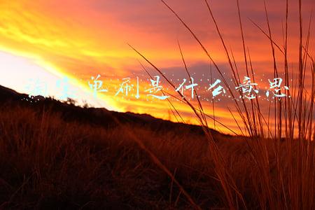 淘宝单刷是什么意思