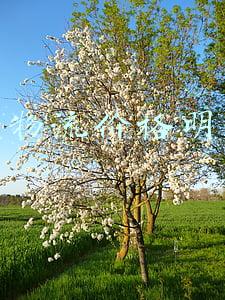 全国省市区县明细表(「经纬早班车」31省份GDP出炉；道指再现千点反弹)