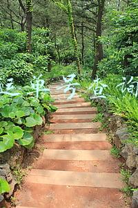 输入运单号查询快递