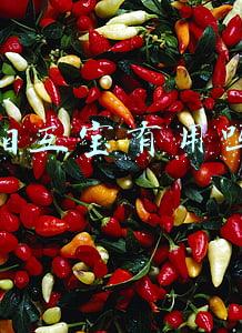 相互宝有用吗