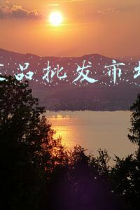 休闲食品批发市场进货渠道