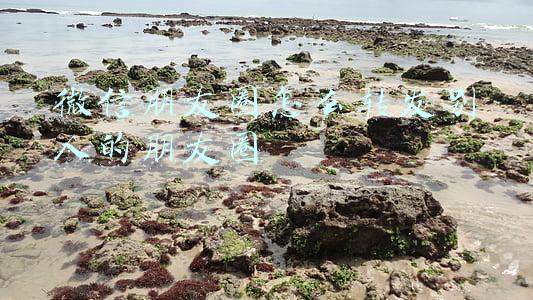 微信朋友圈怎么转发别人的朋友圈