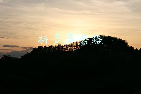 拼多多套路玩法(到底要砍几刀！拼多多的套路曾让你中招吗？)