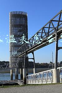 体温表怎么写