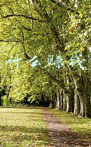 现在有什么赚钱的路子
