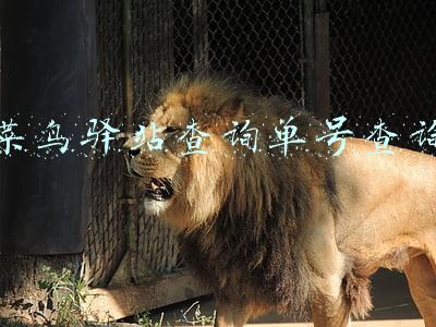 菜鸟驿站查询单号查询
