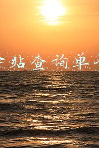 菜鸟驿站单号查询物流查询(菜鸟驿站的菜鸟手册（续4）)