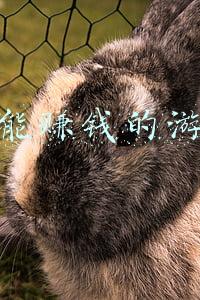 最能赚钱的游戏