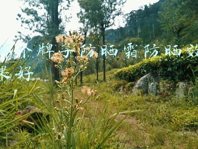 哪个牌子防晒霜防晒效果好 哪个牌子防晒霜防晒效果好