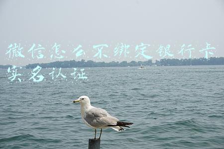 微信怎么不绑定银行卡实名认证 微信怎么不绑定银行卡实名认证