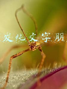 如何发纯文字朋友圈