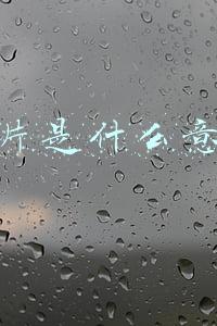 切片是什么意思