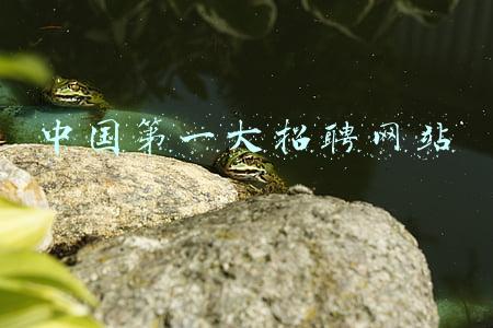 中国第一大招聘网站