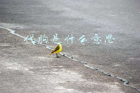 代购是什么意思