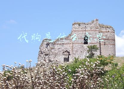 代购是什么意思
