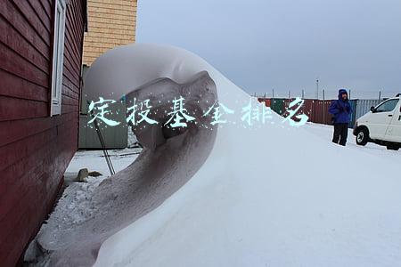 定投基金排名