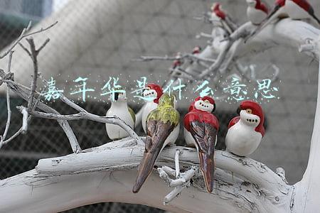 直播间送嘉年华是什么意思(电商主播在抖音变现的5种方式)