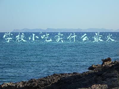 学校小吃卖什么最火