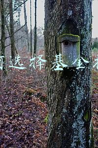 如何选择基金技巧