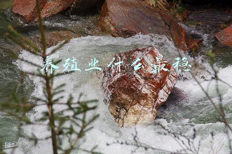 养殖业什么最稳