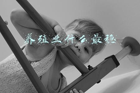 养殖业什么最稳