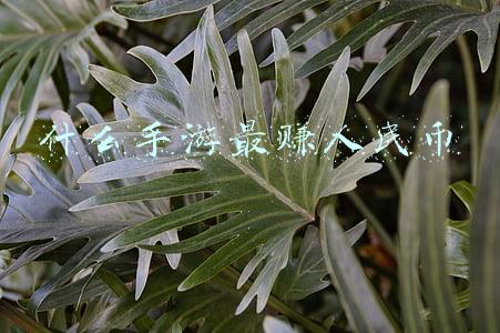 什么手游最赚人民币