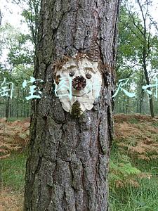 淘宝图片尺寸