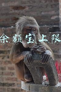 余额宝上限