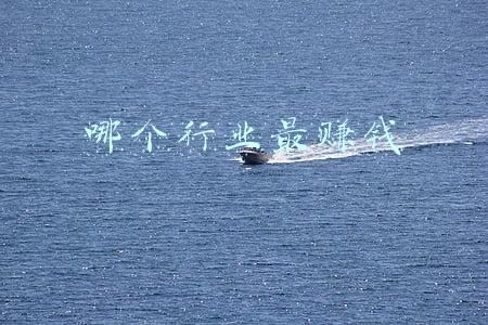 哪个行业最赚钱