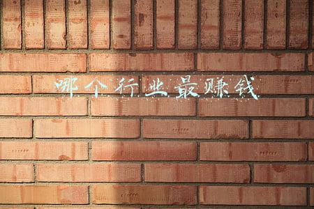 哪个行业最赚钱