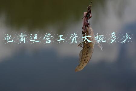 电商运营工资大概多少