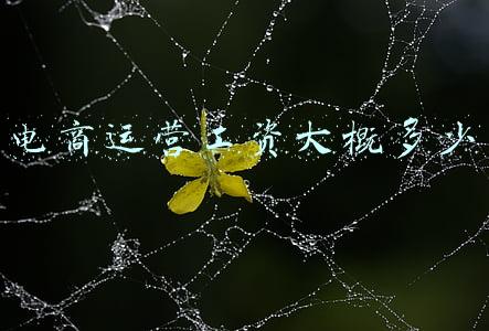 电商运营工资方案(抖音电商运营团队调整薪资：降低每月基本工资，15薪改18薪)
