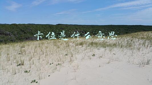 股票卡位是什么意思(龙头的卡位与穿越)