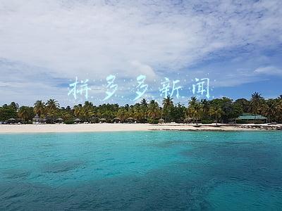 拼多多新闻