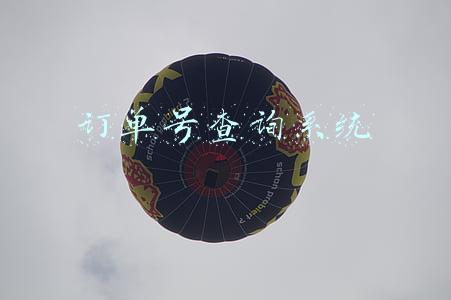 订单号查询系统