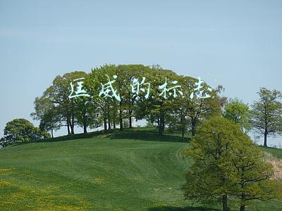 匡威的标志