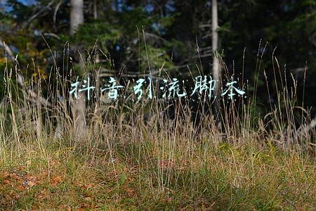 抖音引流脚本
