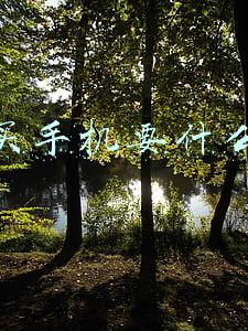 分期买手机要什么条件