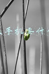 买手机要注意哪些方面(想要手机健康用上三五年，要注意这几点，内行人才懂的购机技巧)