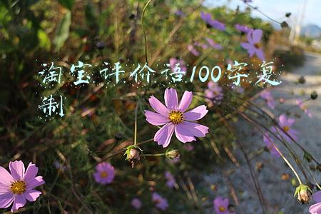 淘宝评价语100字复制
